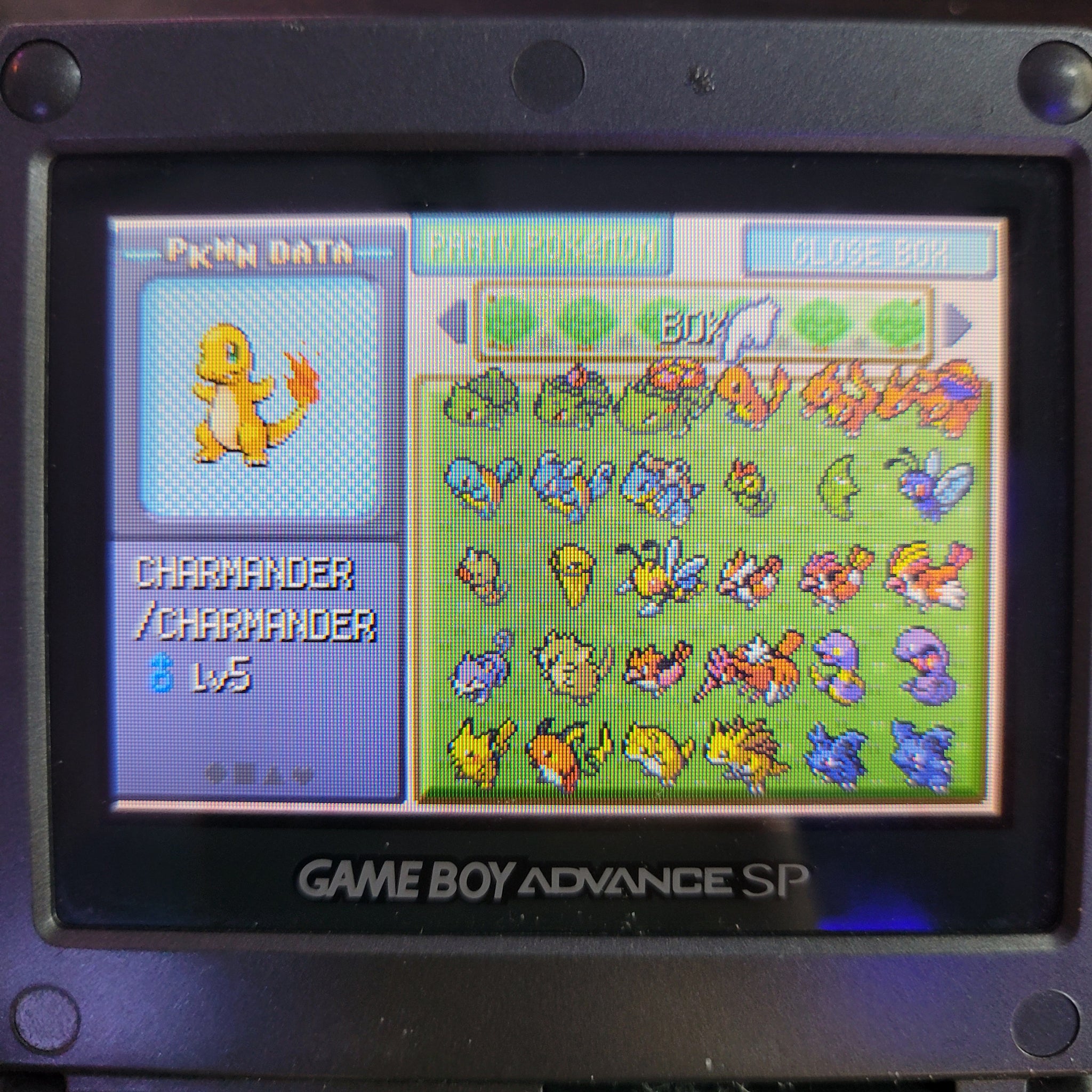 gen 3] shiny Pikachu 5,249 re, glad i got it on main fire red cart :  r/ShinyPokemon